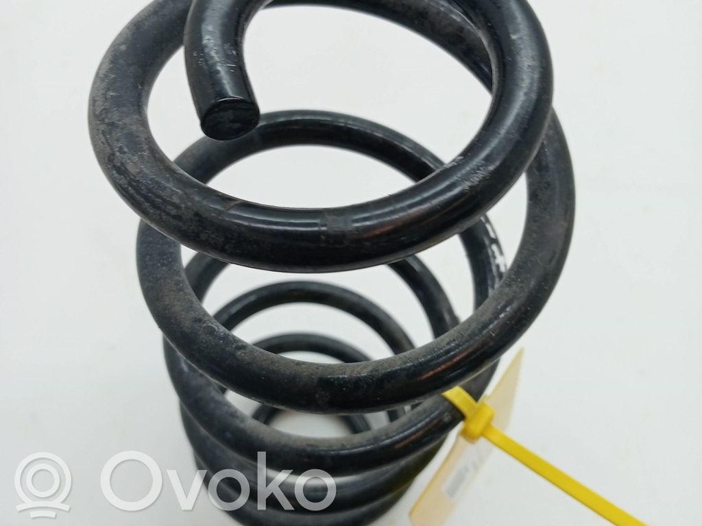 Front coil spring   39202441
