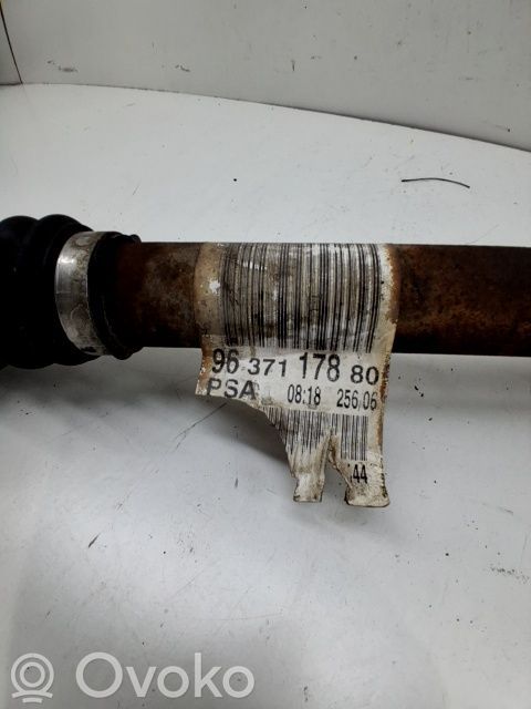 Semiasse anteriore   3273AE