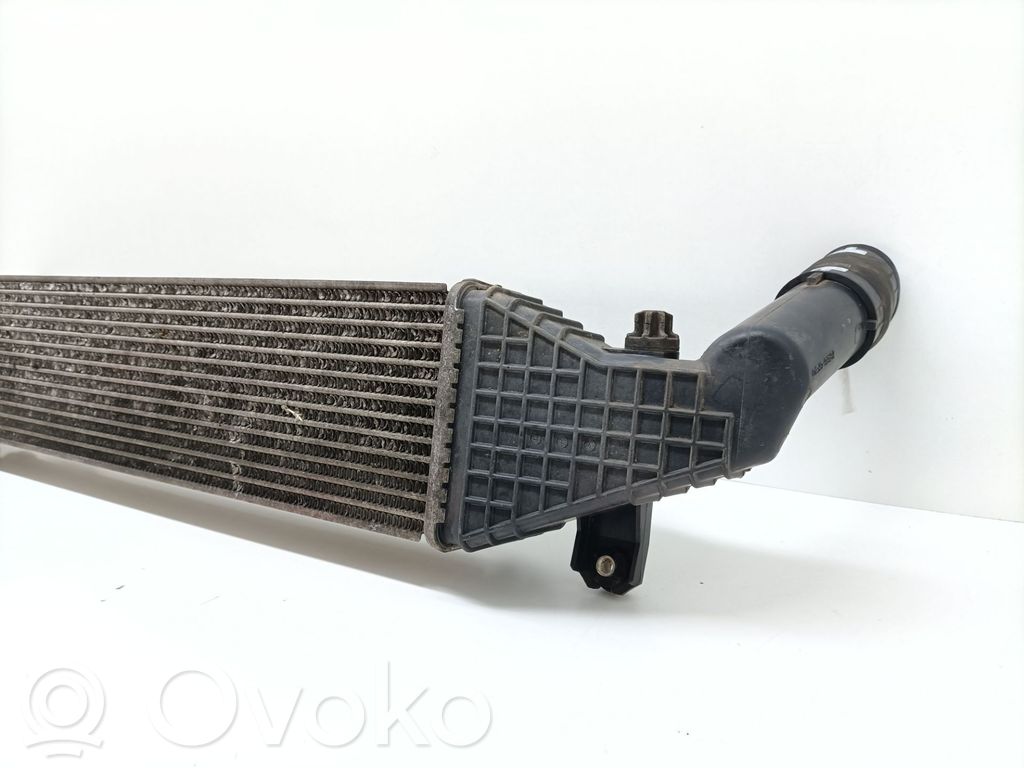 Radiador intercooler   Y60113550,13806Y60113550B,13806Y60113550B