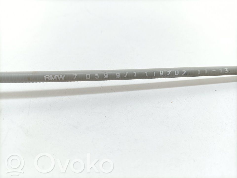Cableado positivo   7059971,7059971