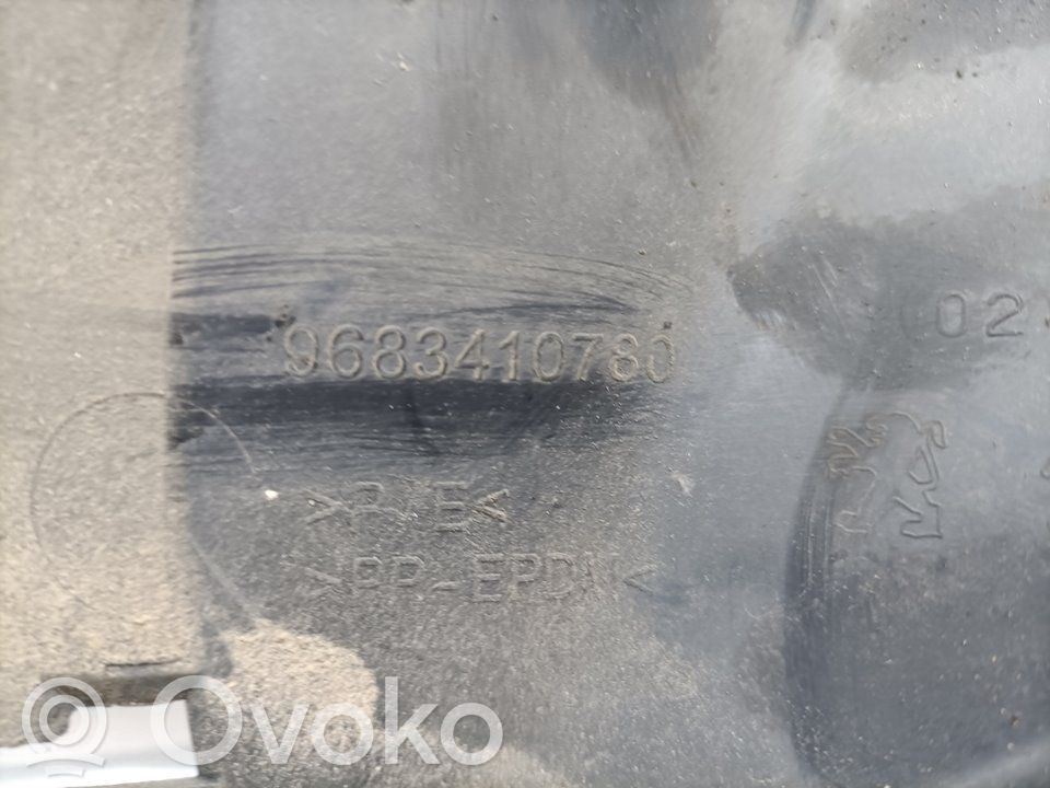 Peugeot 3008 II Rivestimento modanatura 