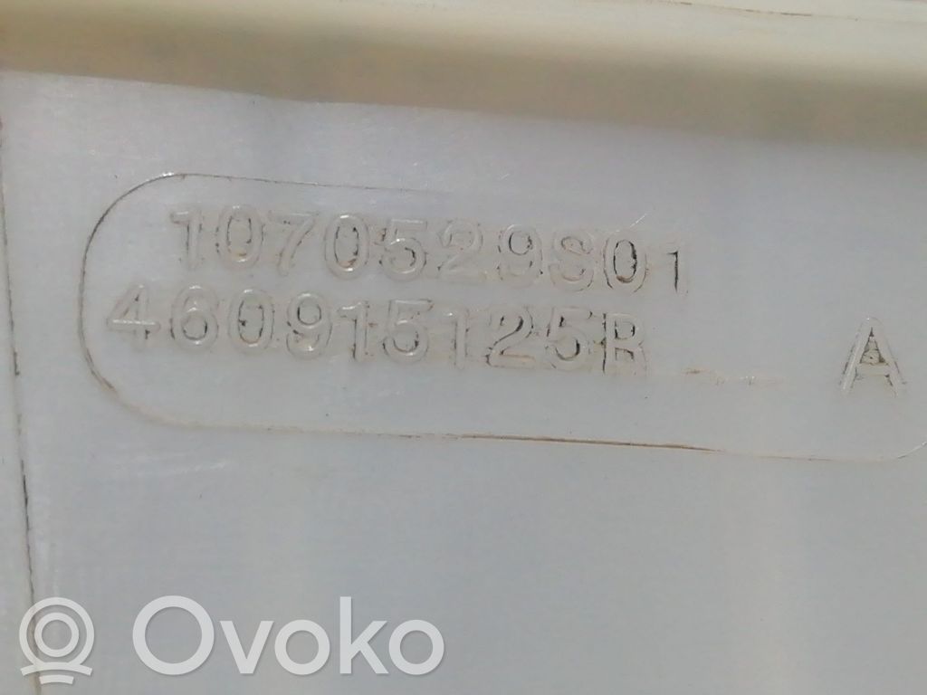Bremskraftverstärker   460915125R,460915125R