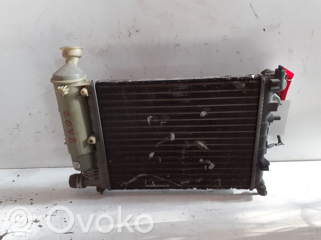 Citroen Saxo Van-Kühlschrank 