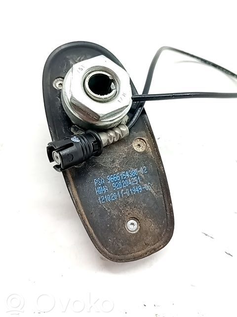 Citroen C3 Picasso Antenna autoradio