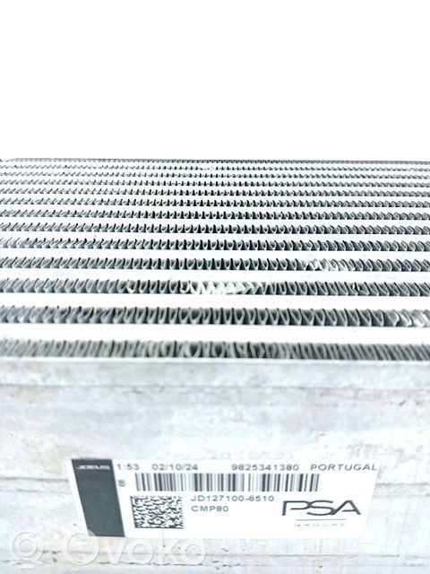 Opel Corsa F Radiator intercooler