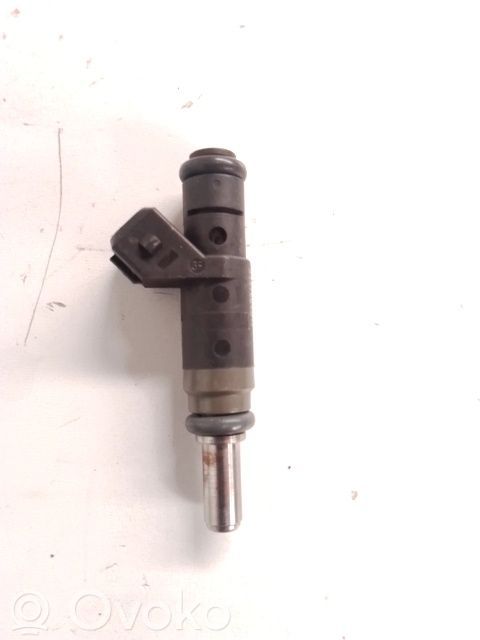 Injector combustibil   13537506158