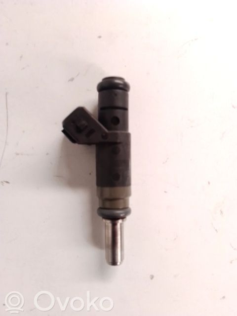 Injector combustibil   13537506158