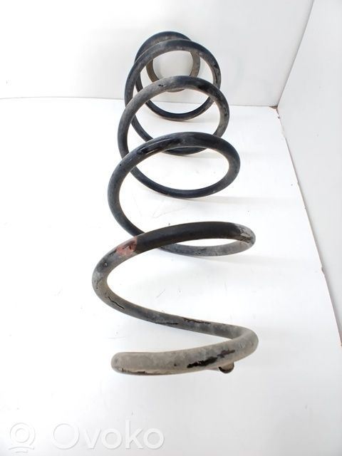Front coil spring   5102G4,5002LL