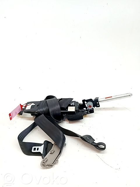 Cinturón delantero   31320500