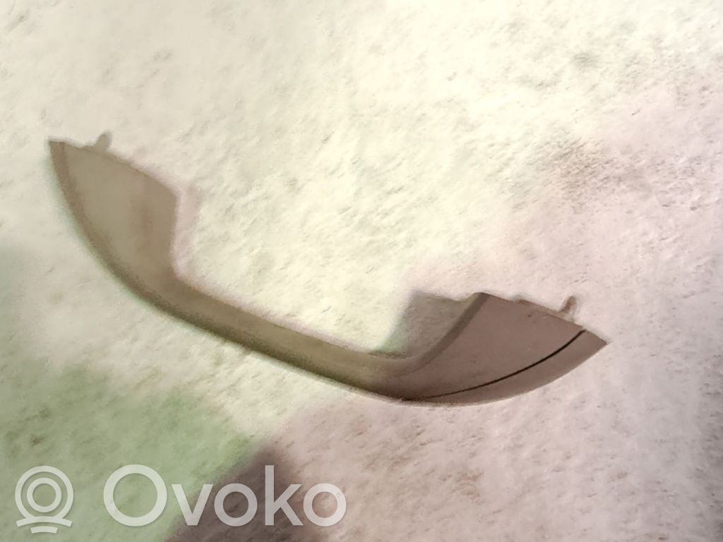 Käsikahva (kattoverhoilu)   8200845691