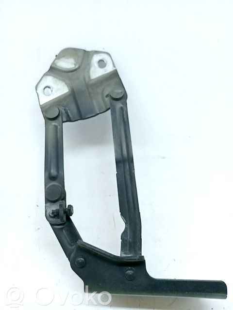 Balamale capotă   1T0823301E