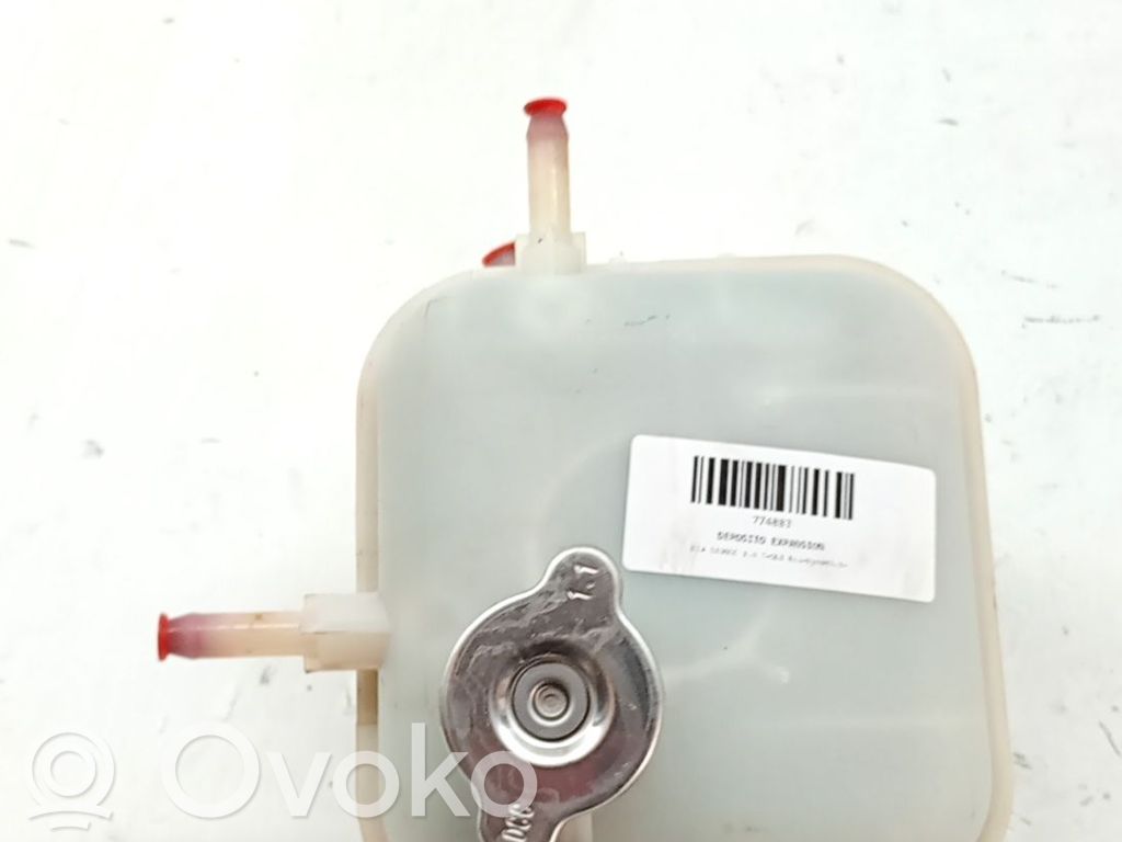 Depósito del refrigerante   25430H8500