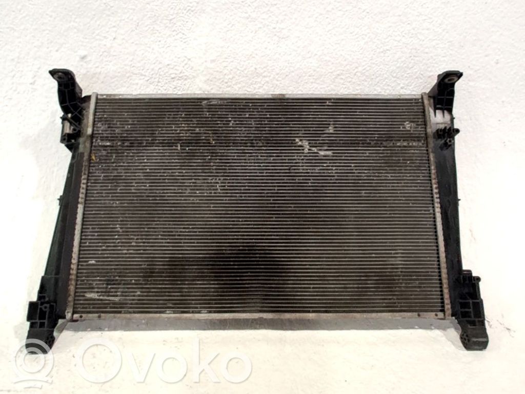 Radiator lichid răcire   55703926
