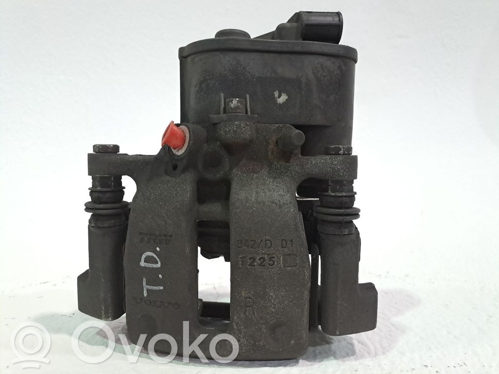Takajarrusatula   36001377,31262415