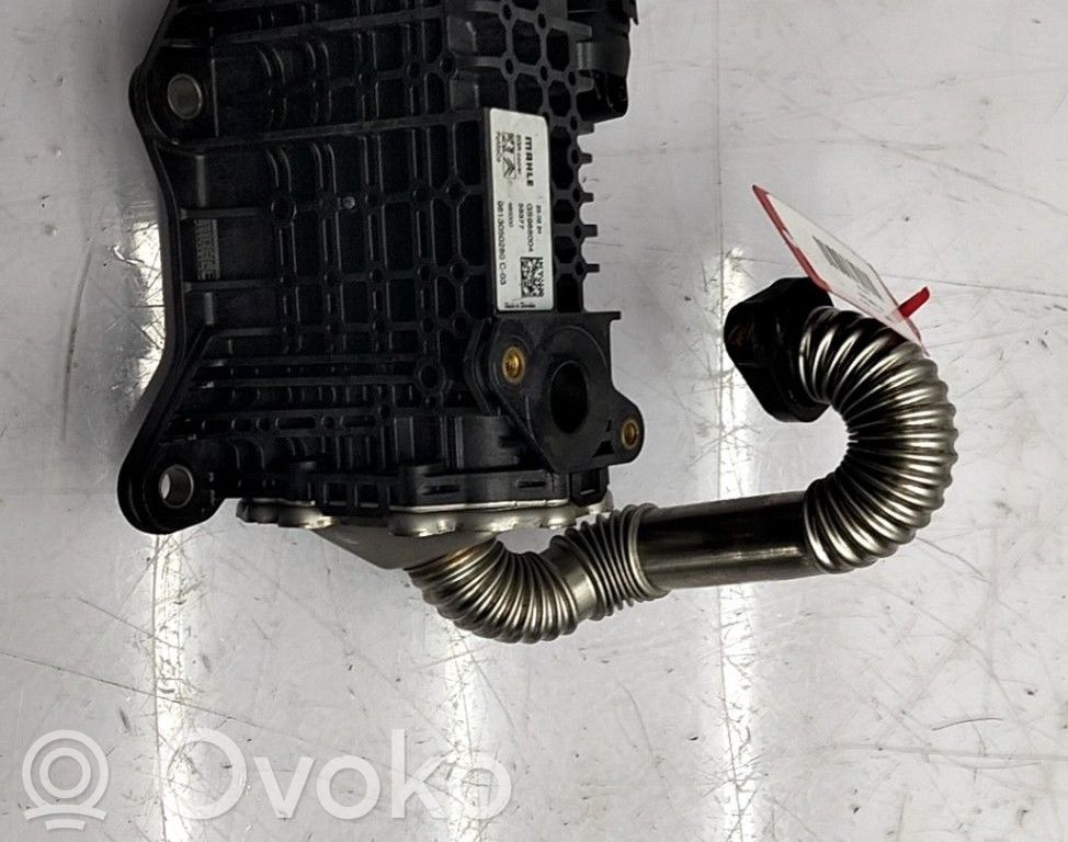 Peugeot Expert Valvola di raffreddamento EGR