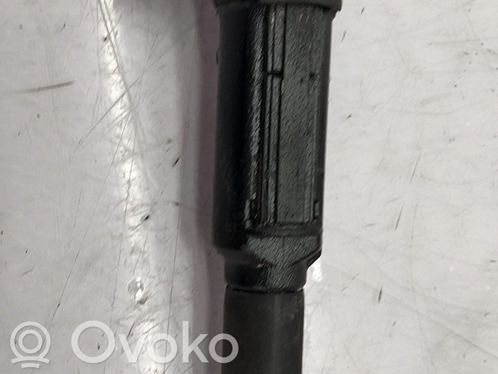 Bobina di accensione ad alta tensione   12135A06753