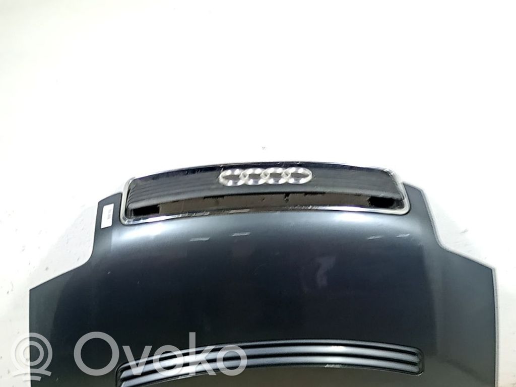 Motorhaube   8Z0823029C