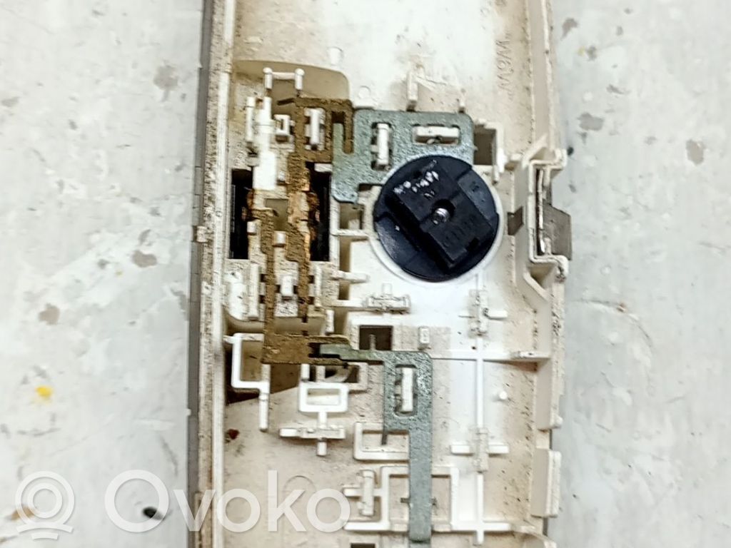 Headlining lighting console trim   1925089,EK2613776AA