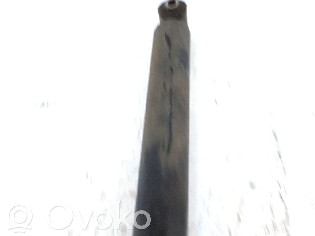 Stoßdämpfer hinten   52121918