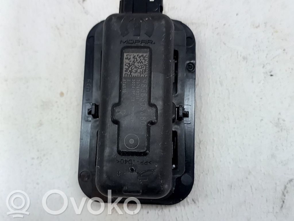 Headlining lighting console trim   9819885980