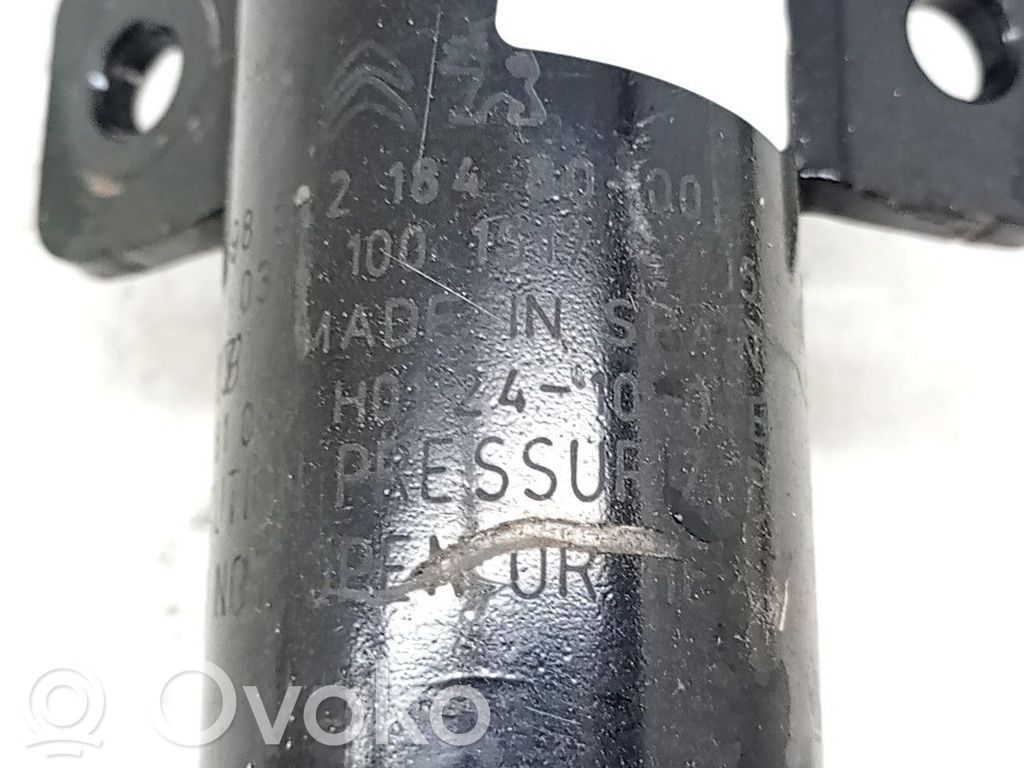 Stoßdämpfer vorne   9852218480