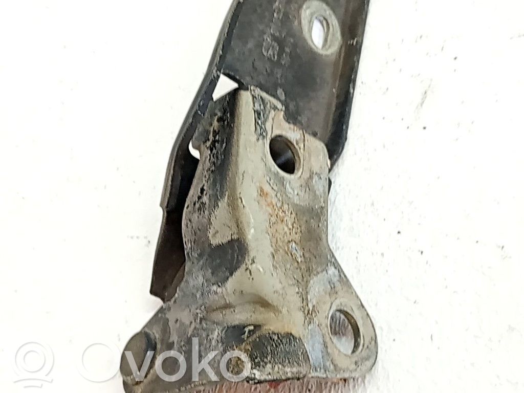 Balamale capotă   1M0823302B