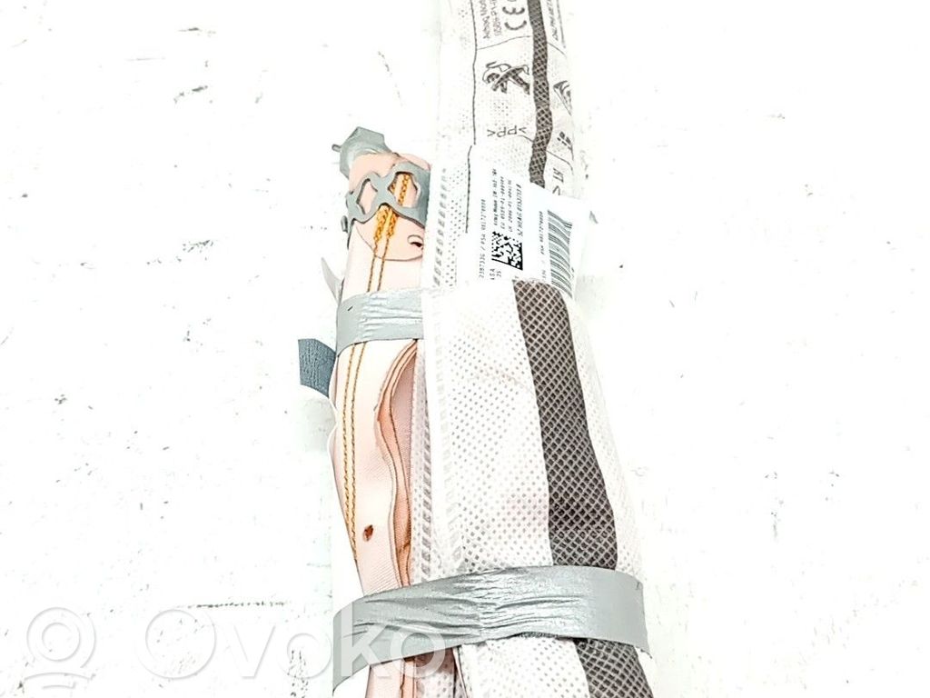 Airbag del techo   9817218980