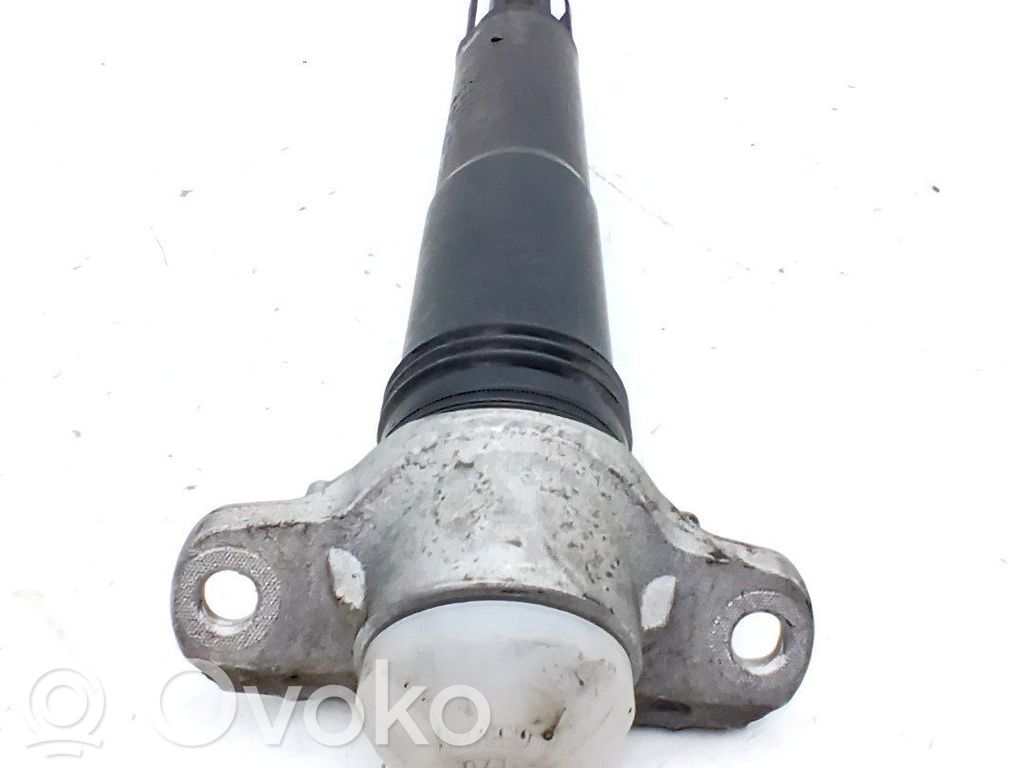 Stoßdämpfer hinten   2Q0513049BE,2Q0512013CG
