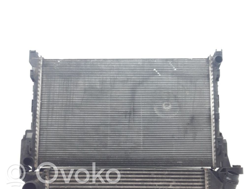 Coolant radiator   214104966R