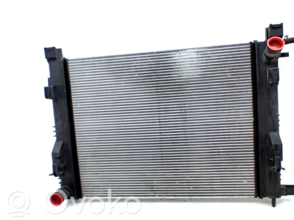 Radiateur de refroidissement   214107326R