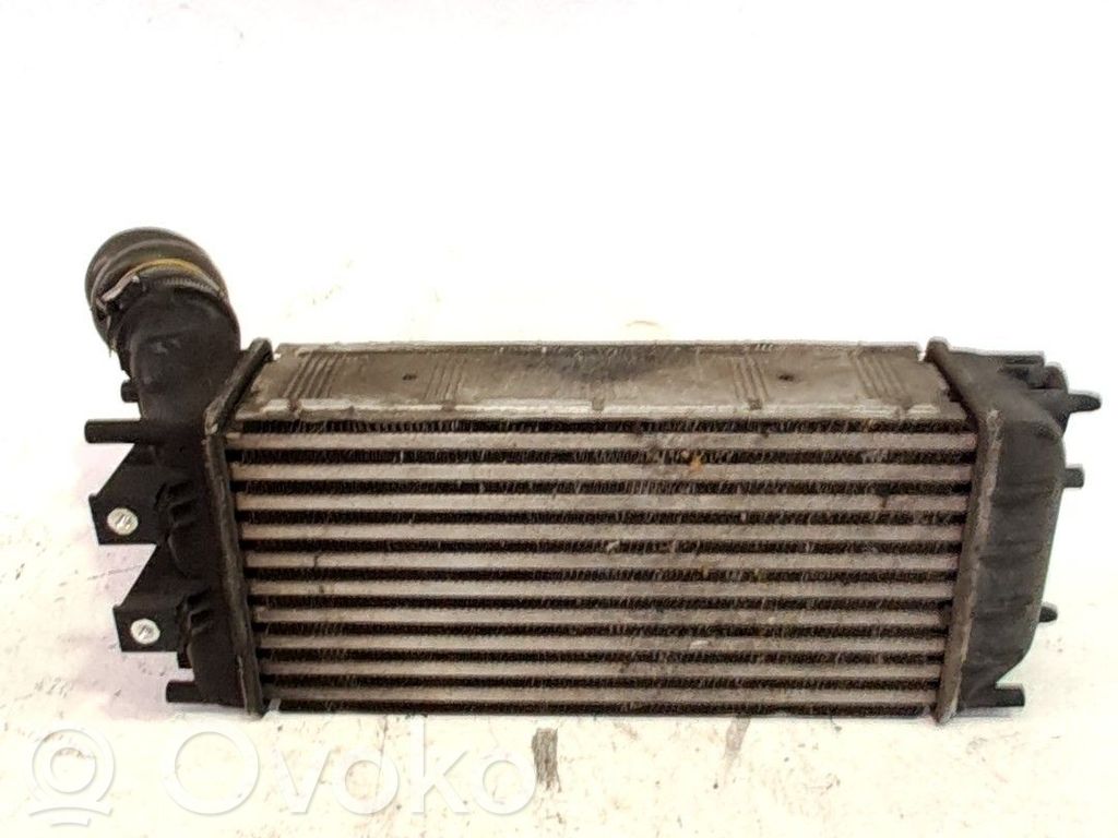 Radiatore intercooler   384N9