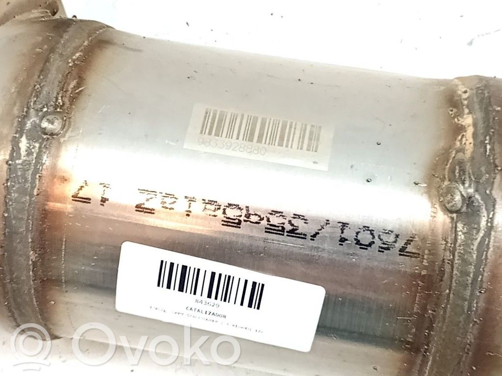 Citroen Jumpy Filtru de particule catalizator/FAP/DPF 