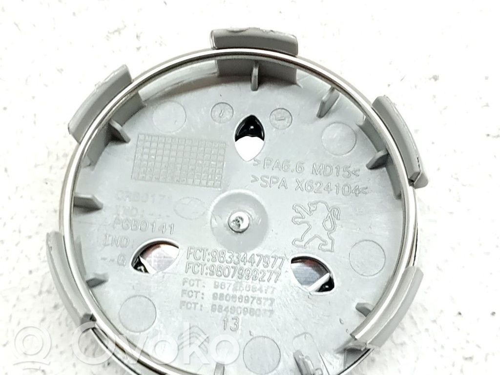 R20-pölykapseli   98022620XT,9833447977