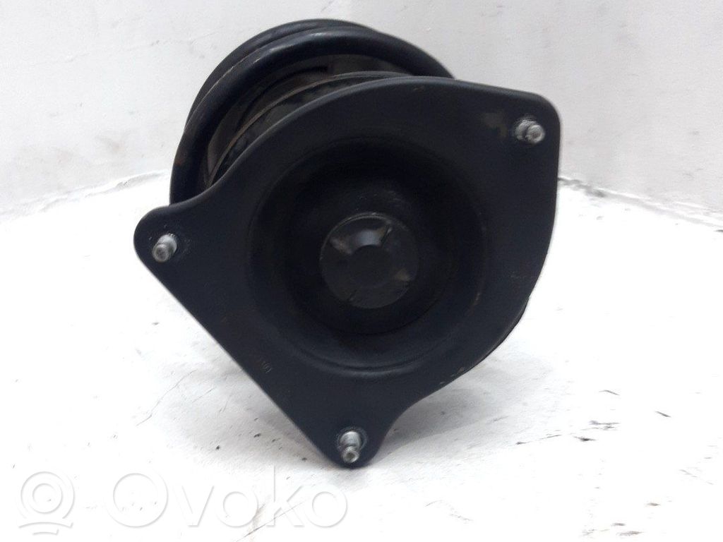 Stoßdämpfer vorne   31316780465