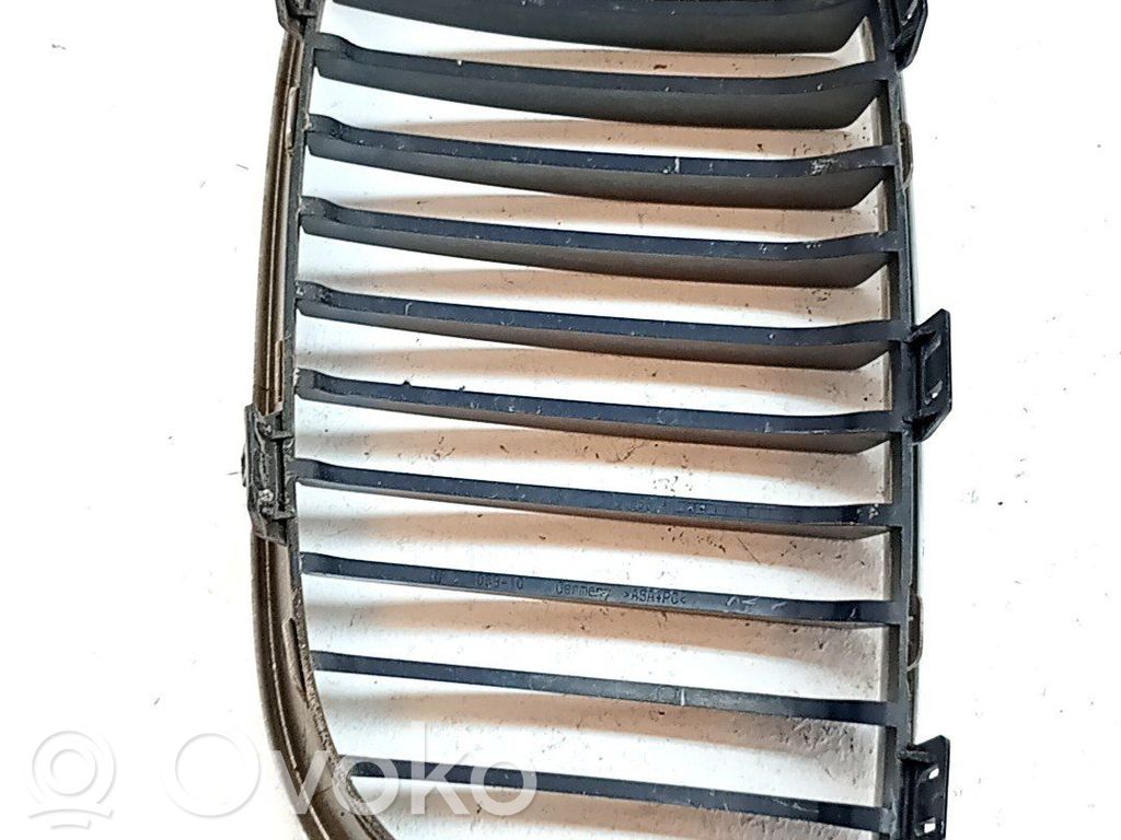 Rejilla delantera   51137166440
