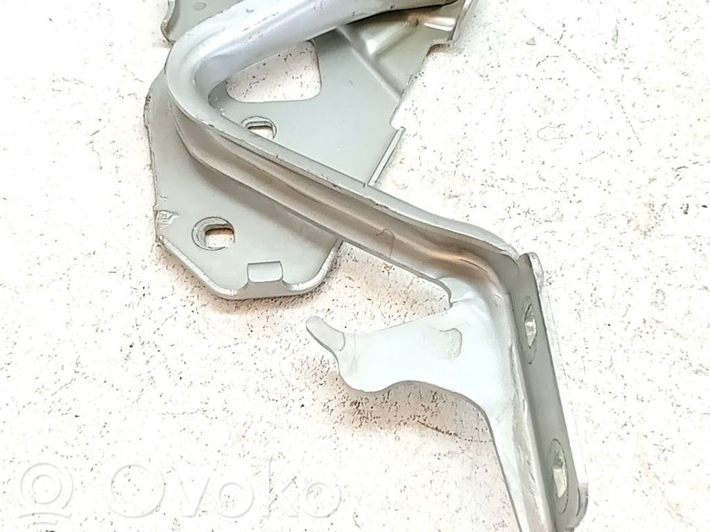Bisagras del capó/tapa del motor   1542418