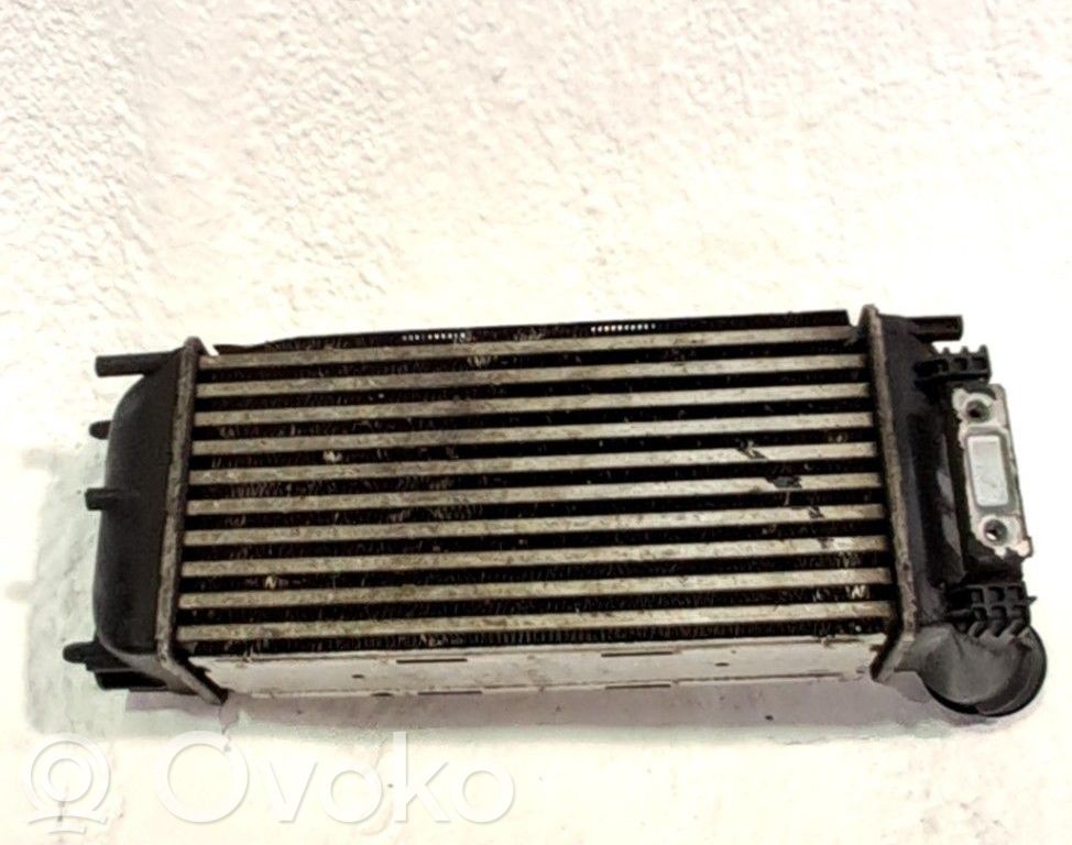 Interkūlerio radiatorius   0384L4