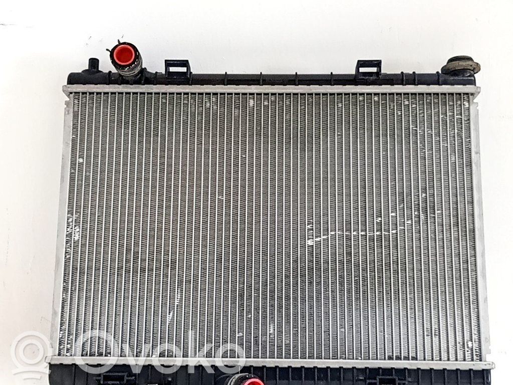 Ford Fiesta Radiator lichid răcire