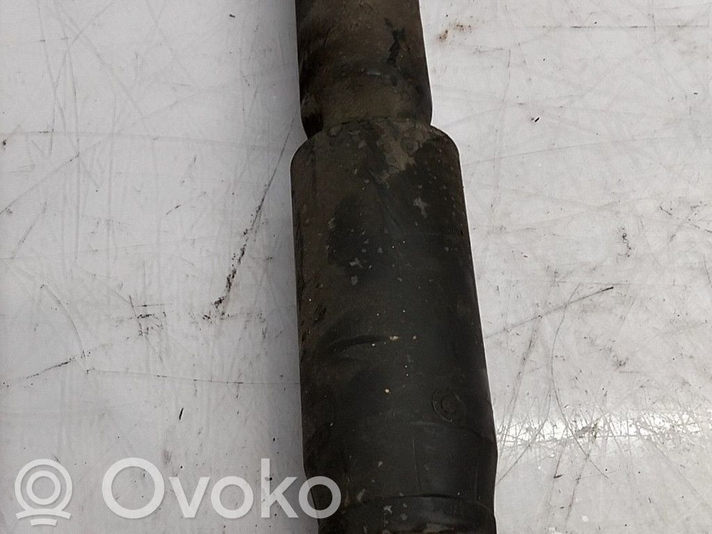 Stoßdämpfer hinten   5206VC