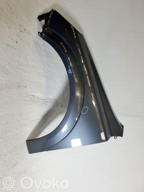 Aleta delantera   93178666