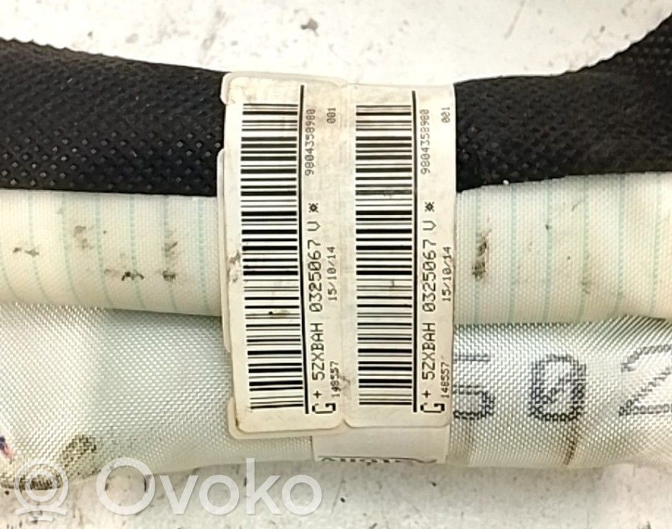 Airbag del techo   9804358980