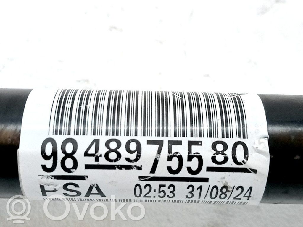 Priekšējā pusass   9848975580