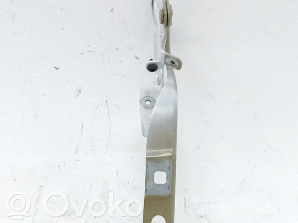 Engine bonnet/hood hinges   9808654680