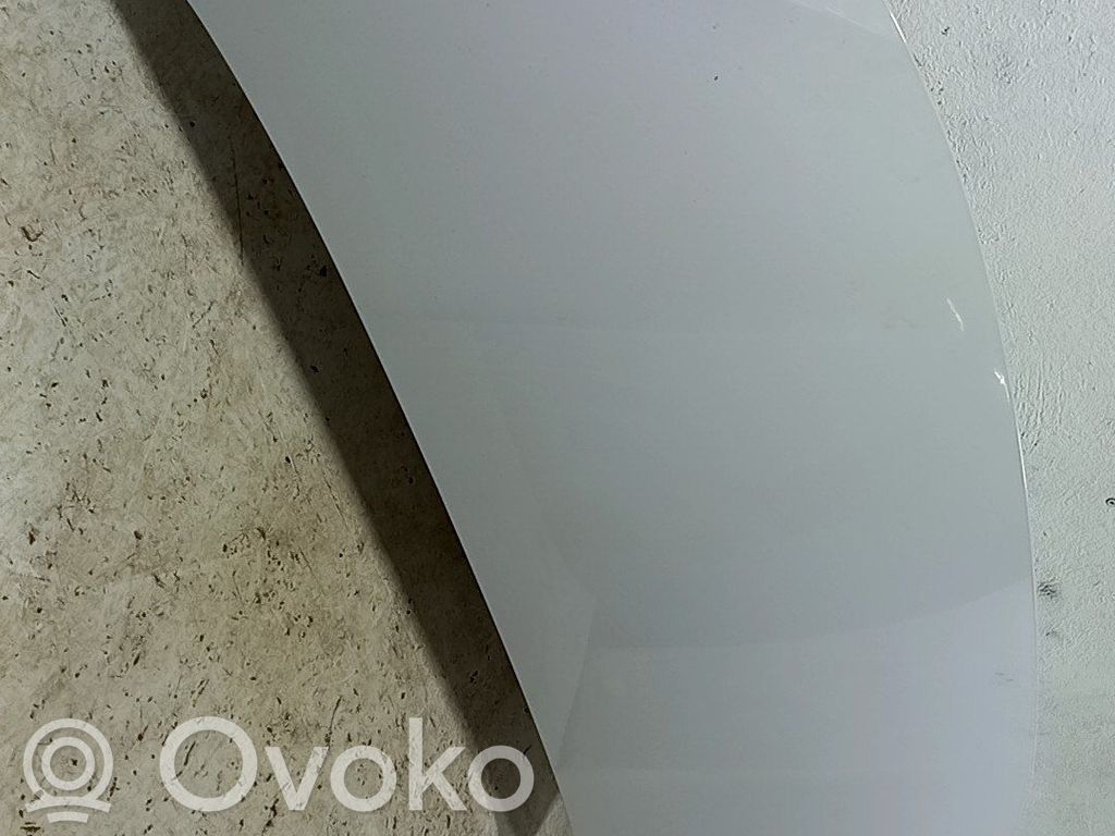 Motorhaube   9859382180
