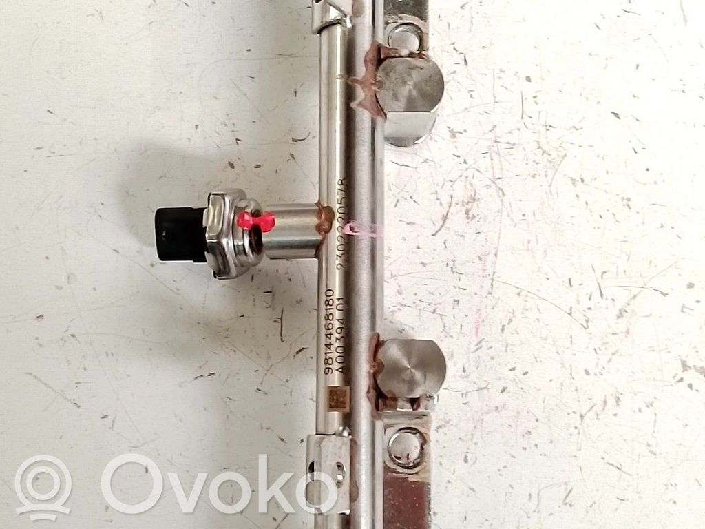 Corps injection Monopoint   9814468180