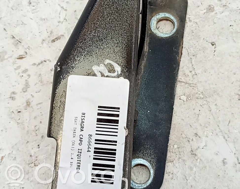 Seat Ibiza III (6L) Cerniere del vano motore/cofano 