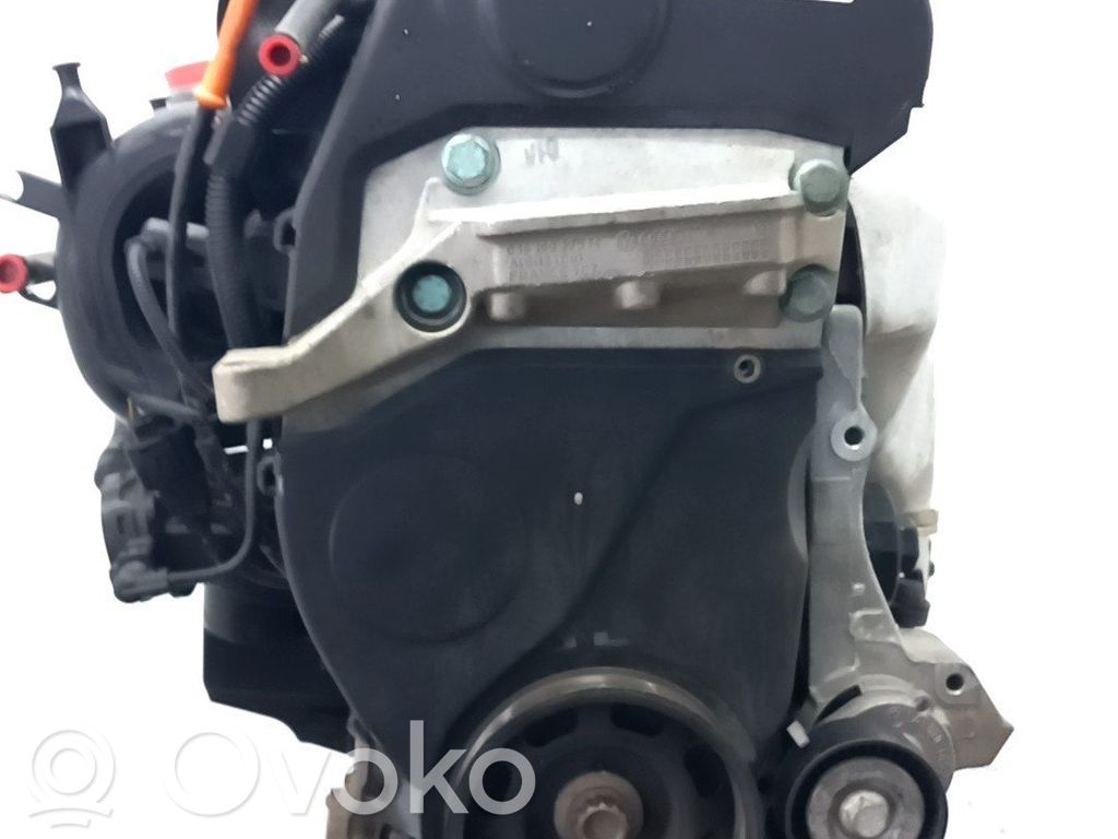 Seat Ibiza III (6L) Motor completo 
