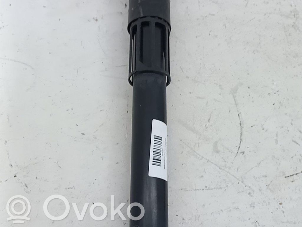 Volkswagen Tiguan Amortizor spate