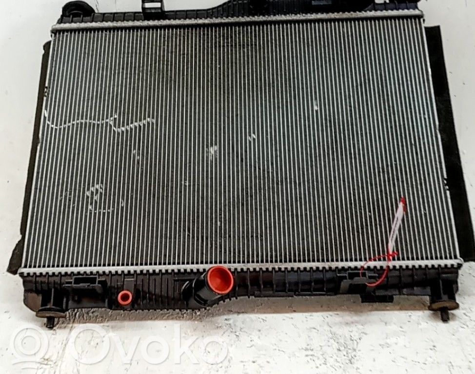 Ford Transit -  Tourneo Connect Radiator lichid răcire 