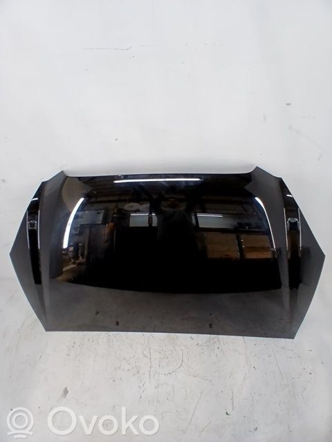 Motorhaube   664001D010